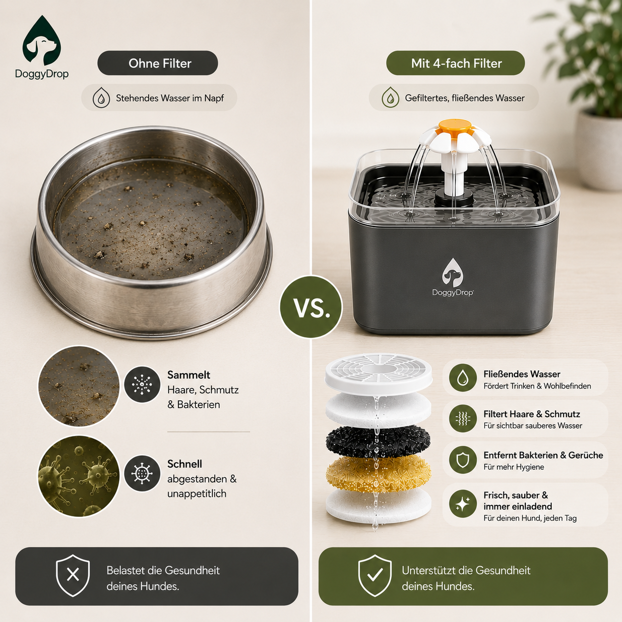 Gefilterter Wasserspender